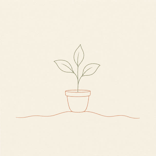 Fine line: a sprouting plant in a pot